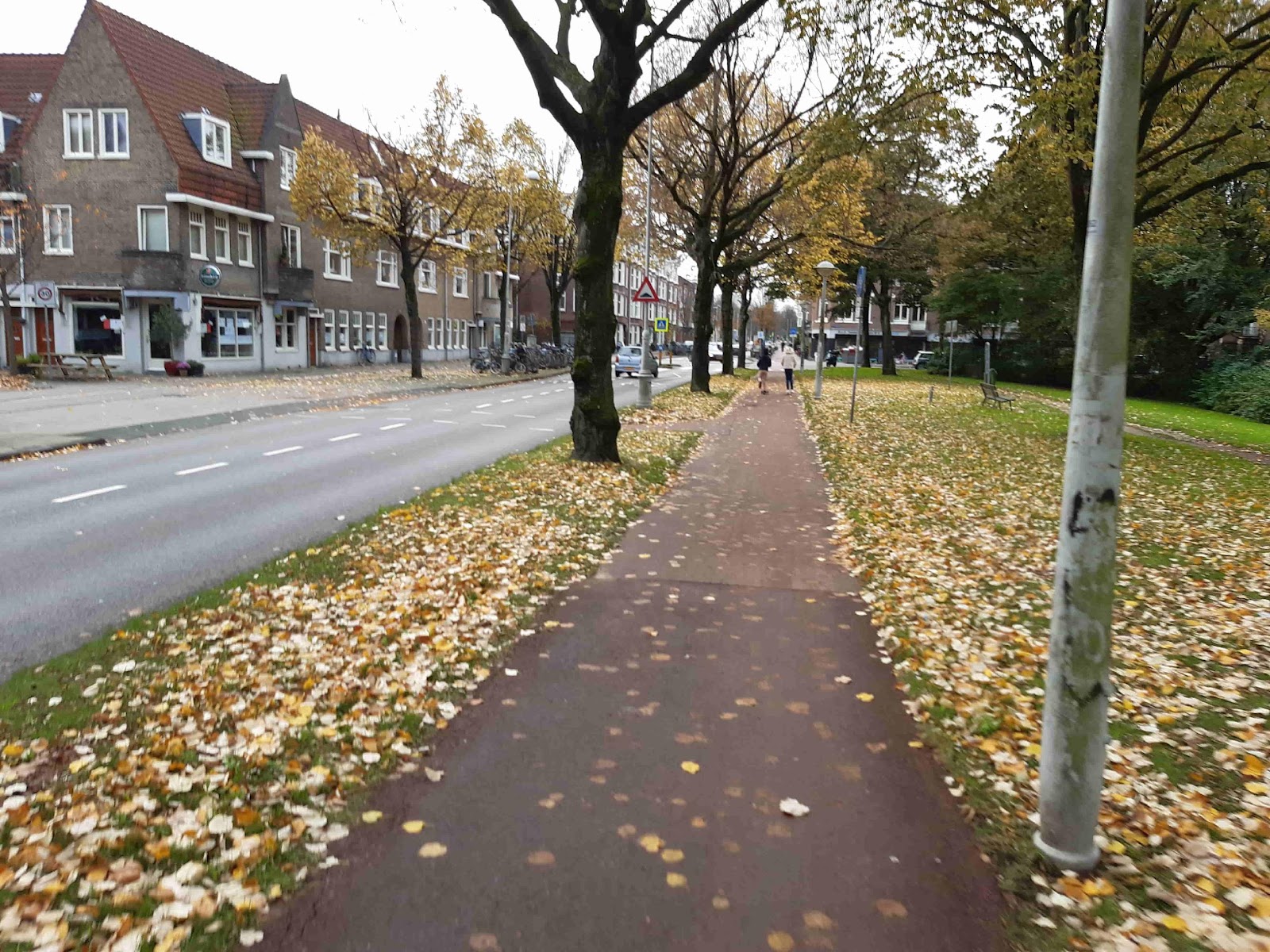 Fietsoversteek Galileiplantsoen-Buys Ballotstraat