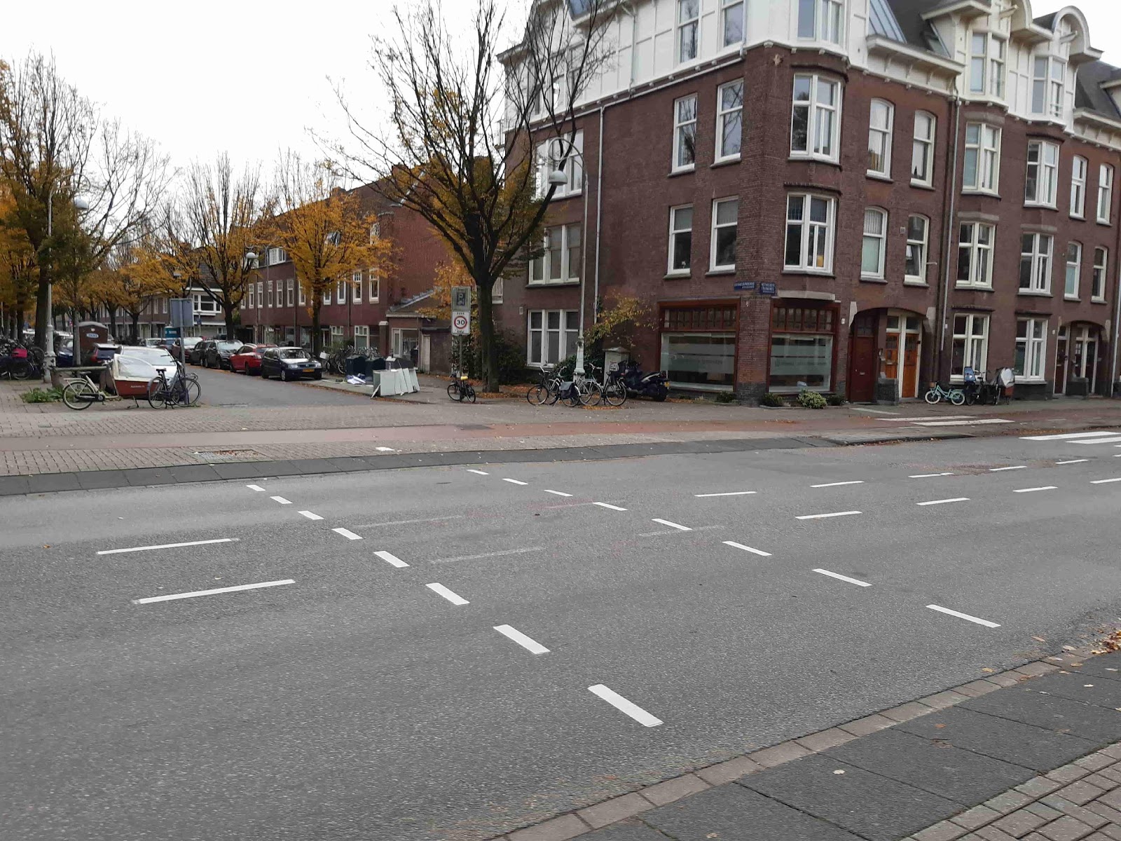 Zebrapad en fietsoversteek noordelijke kruising Galileiplantsoen-Linnaeusparkweg